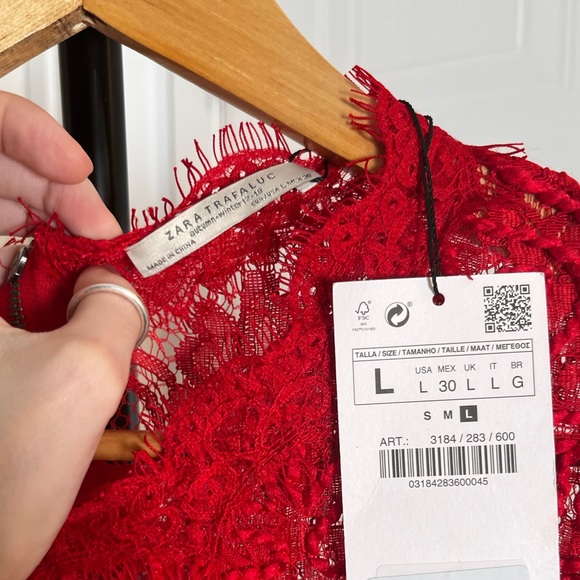 Zara NEW WITH TAGS Lace Blouse - Picture 1 of 4